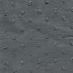 Dotty Altgrün