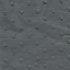 Dotty Altgrün