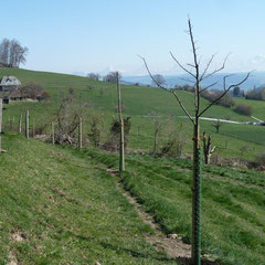 Blick nach Osten gegen Bantigen und Ferenberg