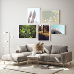 Galerie Wand mit Naturmotiven über Sofa, Wandkunst für Wartezimmer in Arztpraxis und Unternehmen
