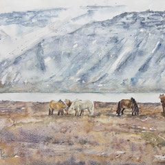 Hey Horses an Icelandic story -   15 in. x 22 in. - 38 x 56 cm  740,00 Euro