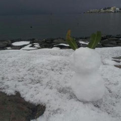 ①「宍道湖を眺める雪だるま」　②こっちゃん　（町外作品）