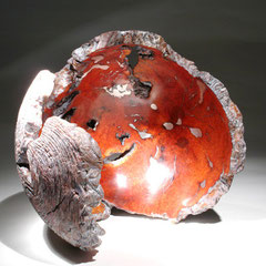 Caramboles et Carapaces