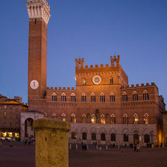 Siena, Campo