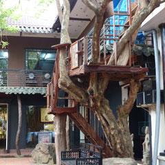 Nha Trang Art Gallerie