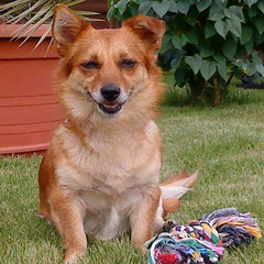Heidi