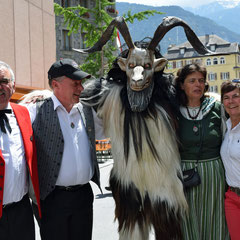 Walliser Geissbock mit Alphorners