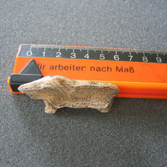 Höhlenbär ?
