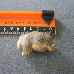 Mammut
