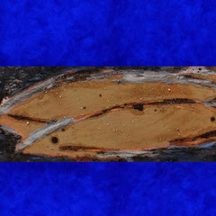 Germ, 2012 