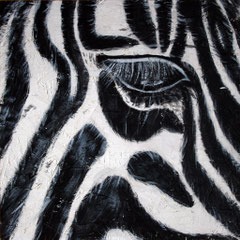 Zebra 2/6, 32,5x32,5 cm, Acryl auf Holz, 2013