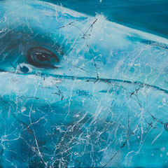  Beluga blue - Acryl auf Leinwand, 60x30 cm