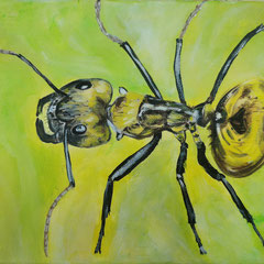 Goldameise, Costa Rica, 30 x 20 cm, Acryl auf Leinwand