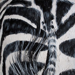 Zebra 1/6, 32,5x32,5cm, Acryl auf Holz, 2013