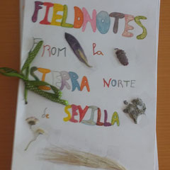 Portada 2