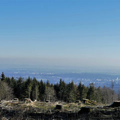 Blick auf Bad Homburg und Friedrichsdorf bis in die Wetterau