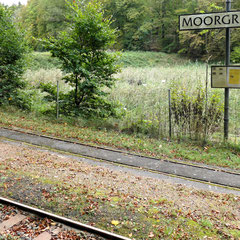 Die Moorgruben - Endstation der Moorbahn und begehbares Moor