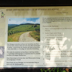 Solche Tafeln zeigen einem den Weg - und erklären eine Menge vom "Wein"