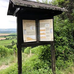 Wer diese Tafel (die Nummer 9) erreicht hat, ist am höchsten Punkt des Steinbergs angekommen.