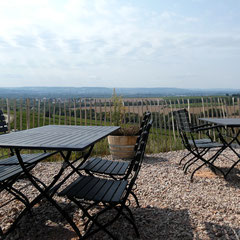 Einer der besten Plätze im Rheingau