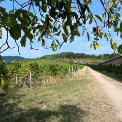 Rechts die beeindruckende Mauer