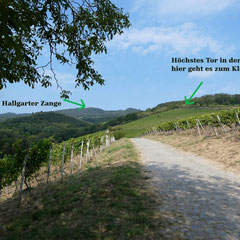 Fernblicke auch nach oben - da rechts wollen wir noch hin.