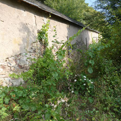 Die Wege auf dem Steinberg enden alle an der Mauer - es sei denn man hat eines der wenigen Tore erwischt
