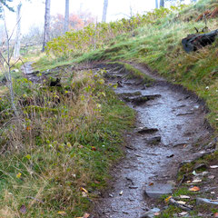 Wanderweg nach oben