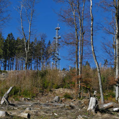 Mast auf dem Kolbenberg