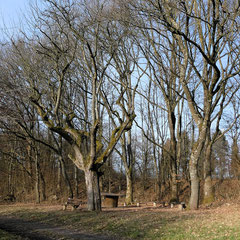 Am Obstwiesenlehrpfad