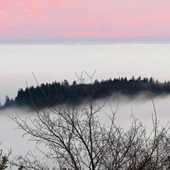 Oft lugt nur der Altkönig aus dem Nebelmeer im Tal