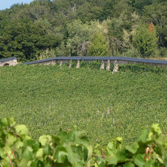 Ein Blick zum höchsten Tor (herangezoomt :)