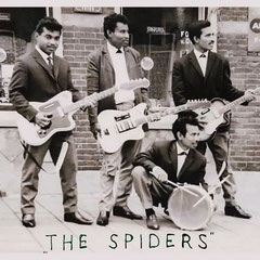 The Spiders (Ridderkerk)