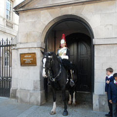 Horse Guard