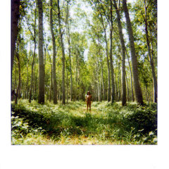 Fotografia Polaroid originale di Alessandro Tintori