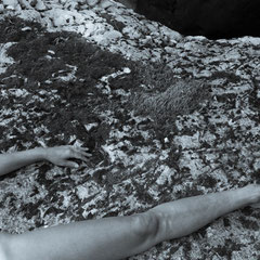 606.041 © 2013 Alessandro Tintori