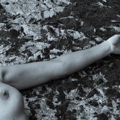 606.039 © 2013 Alessandro Tintori
