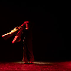 Fotografia Fine Art di danza contemporanea interpretata da Elisabetta Da Rold sulla canzone Veronica di Enzo Jannacci