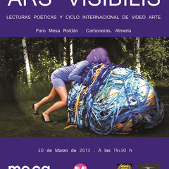 ARS VISIBILIS VIDEO ARTE