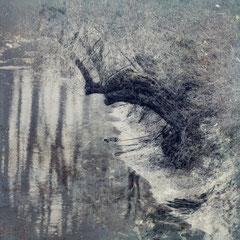 VANISHING