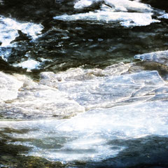 FROZEN 11