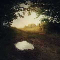 THE MIRROR