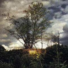A LONG FORGOTTEN PLACE