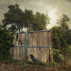 THE GATE