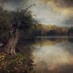 AUTUMN RIVER