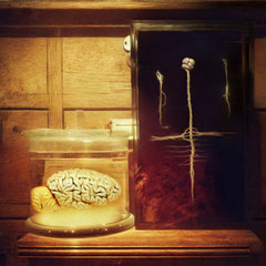 THINK TANK