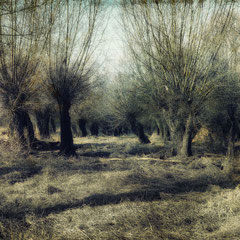GHOST WHISPERS