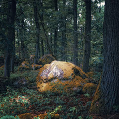STONE