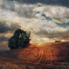 <span style="font-family: Ubuntu Condensed; letter-spacing:0.3em;">BEYOND THE FIELDS WE KNOW (REMIX)</span><br>