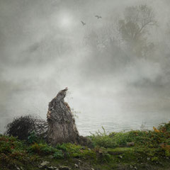 I LIVE BY THE RIVER (III)